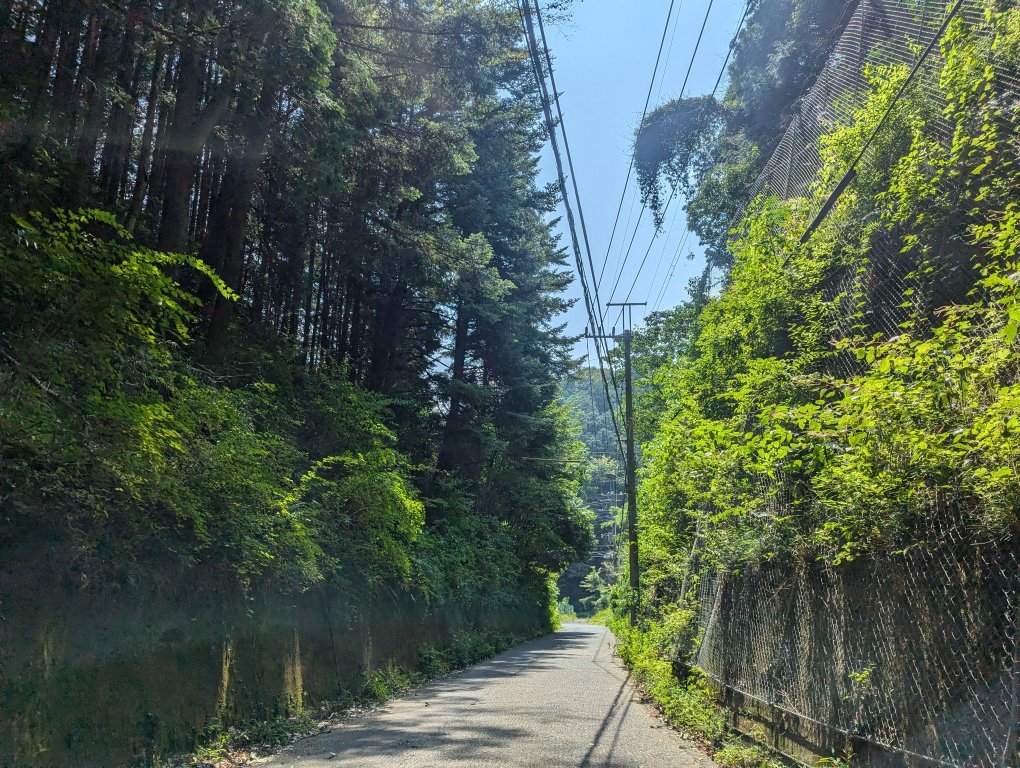 現在の倉掛峠